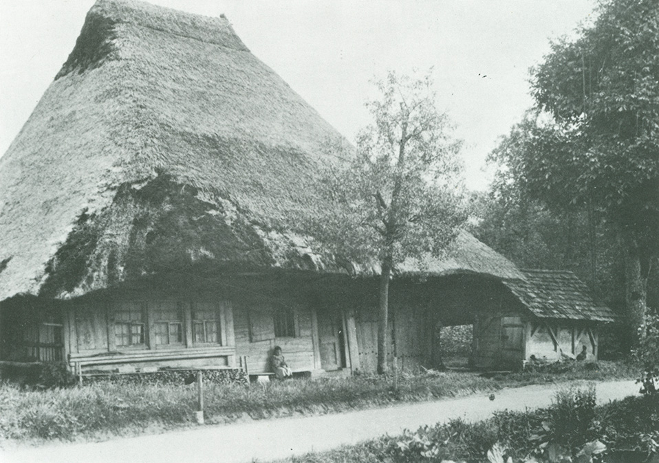 Altes Bauernhaus mit Strohdach