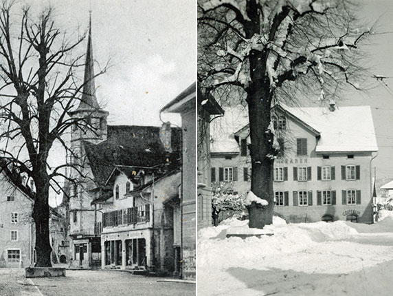 Schneggen (um 1910) und Bären (um 1930) in Reinach